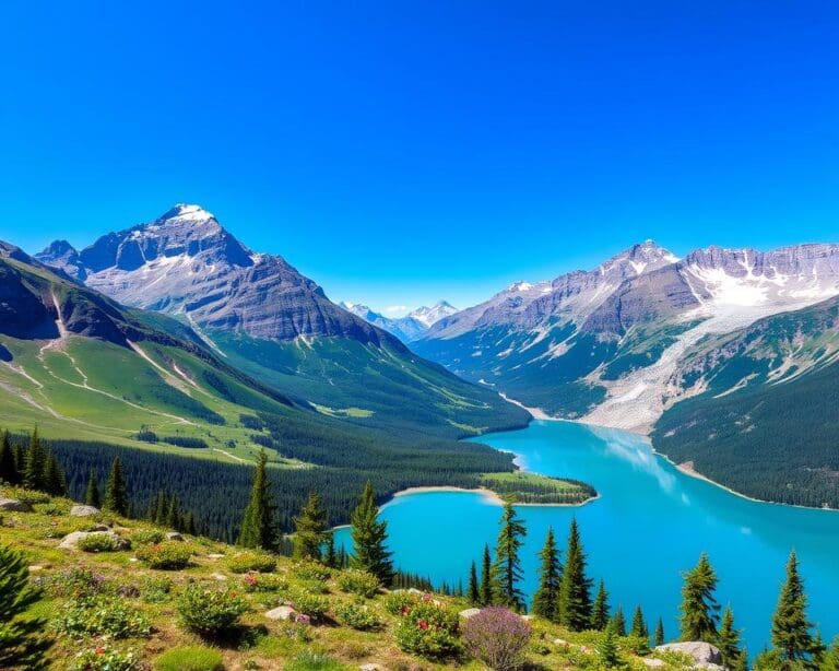 Naturwunder im Glacier Nationalpark, Montana