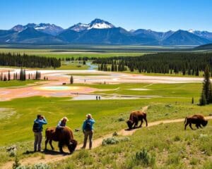 Outdoor-Aktivitäten im Yellowstone-Nationalpark