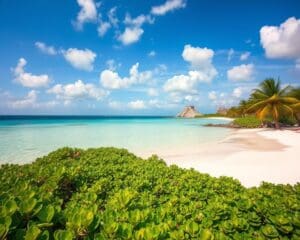 Strände und Natur in Tulum, Mexiko