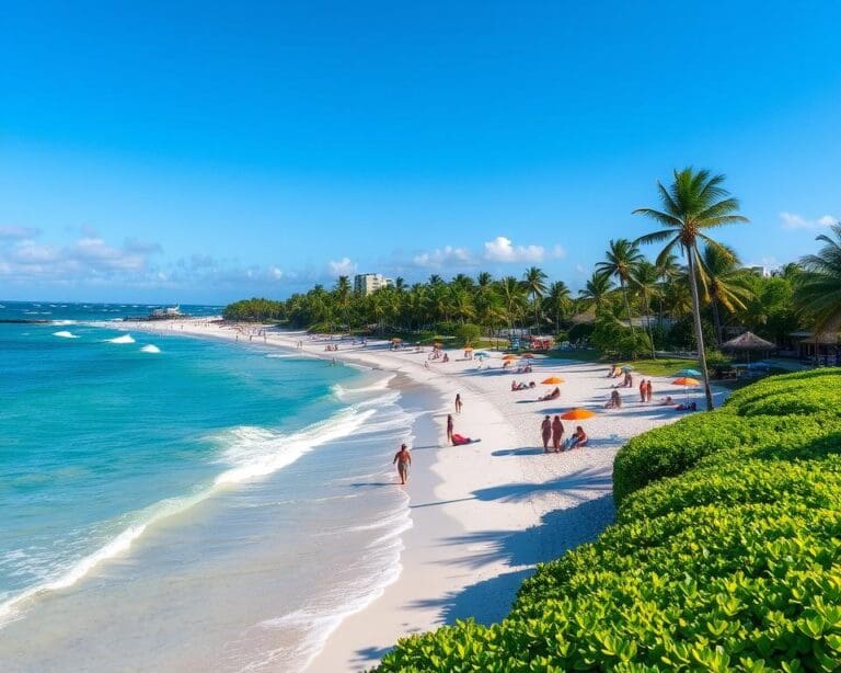 Strände und Natur in Fort Lauderdale, Florida