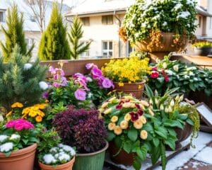 Winterharte Pflanzen für Balkon und Garten: Blühen das ganze Jahr