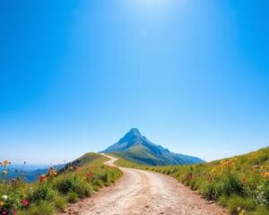 Ziele setzen: Mit klarer Vision zum Erfolg