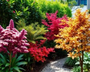 Zierbäume für den kleinen Garten: Platzsparende Schönheiten