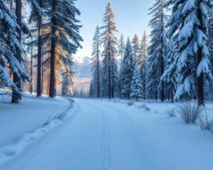 Die schönsten Wanderungen für kalte Wintertage