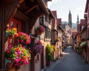 Eguisheim – Blumen und Fachwerk im Elsass 🇫🇷