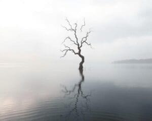 Warum ist Stille ein Schlüssel zur inneren Transformation?