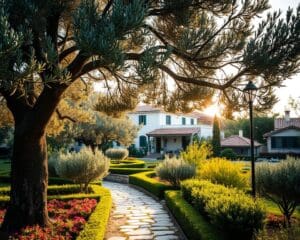 Warum passt die Ölweide perfekt in mediterrane Gärten?