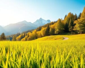 Wie wichtig ist frische Luft für die Gesundheit?