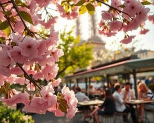 Was macht Paris besonders im Frühling reizvoll?